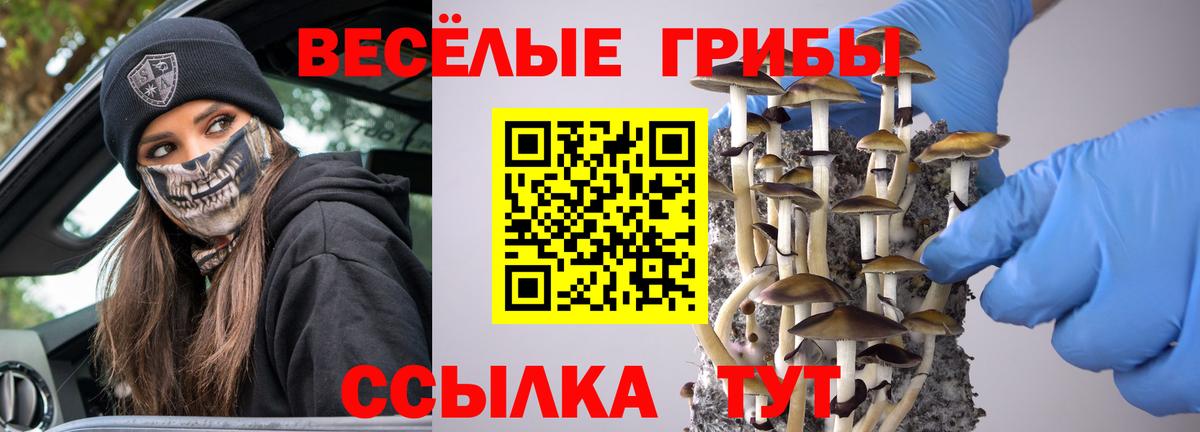 Псилоцибиновые грибы мицелий Малоярославец